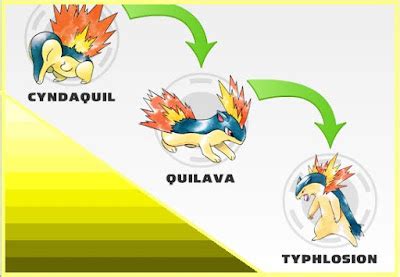 what does cyndaquil evolve into.